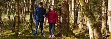 Two children walk side by side, holding a stick, along a mossy path. Sunlight filters through tall trees, creating dappled shadows in a dense forest.