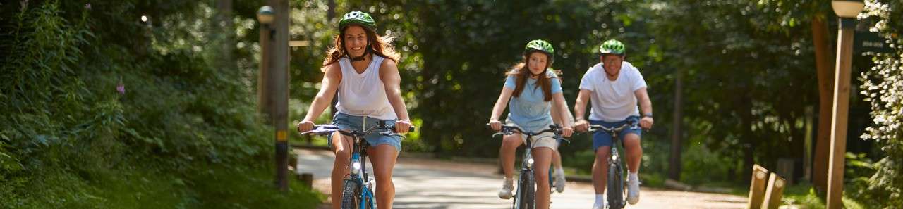 Three helmeted cyclists pedal forward on a paved forest trail; dappled sunlight filters through trees, with lampposts and wooden posts lining the path.