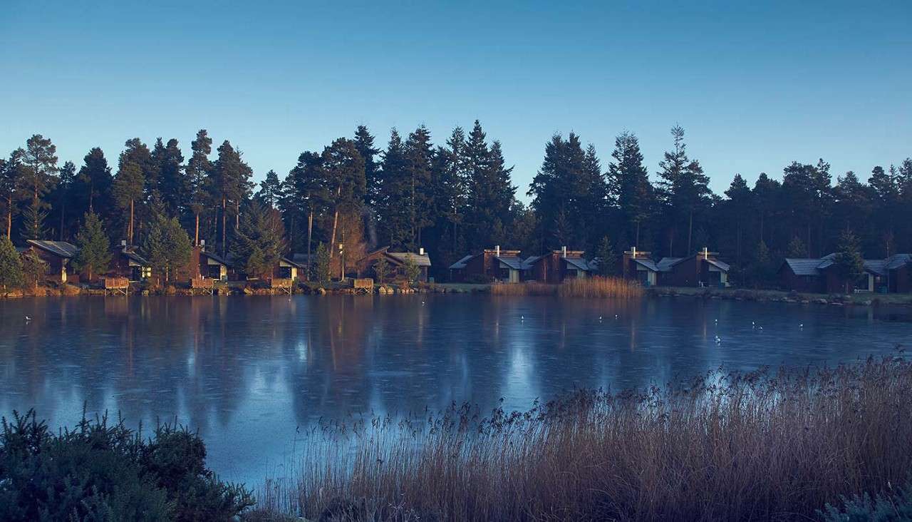 Cabins sit along a treeline, facing a still, partially frozen lake; small birds dot the surface while reeds frame the foreground under a clear blue early-morning sky.
