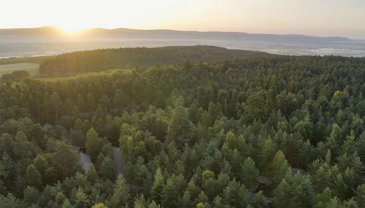 Dense evergreen forest canopy catches early sunlight, forming dappled highlights; scattered cabins peek through trees. In the distance, hazy rolling hills and fields sit under a low rising sun.