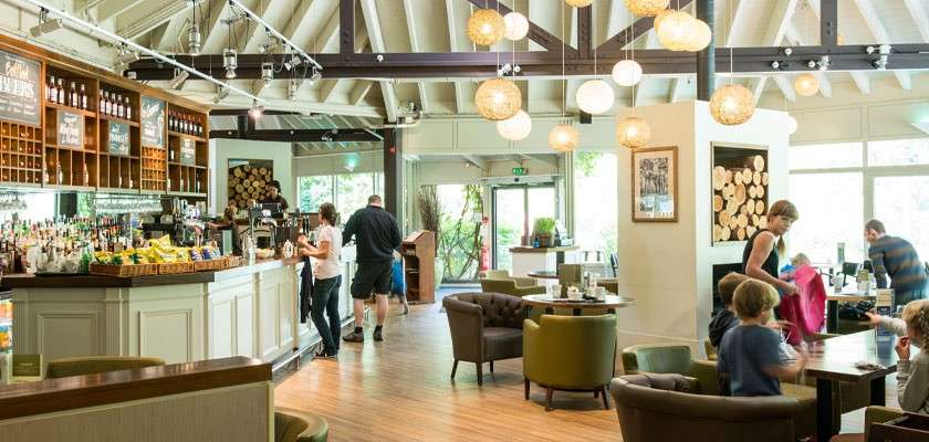 Bar counter—patrons ordering—in a bright, modern lounge with wooden floors, globe pendant lights, high beamed ceiling, bottle shelves, and families seated. Chalkboard menus with small, illegible text hang behind.