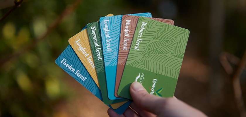 Hand fans out colorful cards outdoors; text reads: Elveden Forest; Longleat Forest; Sherwood Forest; Whinfell Forest; Woburn Forest; AQUA; Center Parcs.