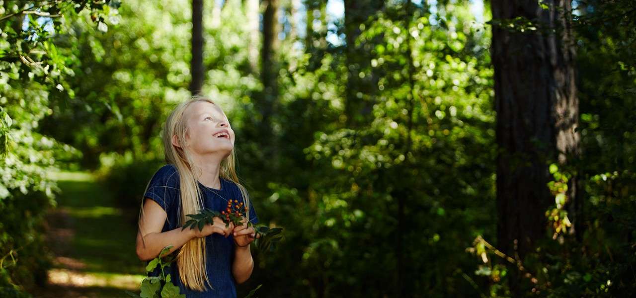 Child smiles while looking upward, holding leafy twigs with orange berries, standing on a sunlit forest path amid dense green trees, dappled light filtering through the canopy.