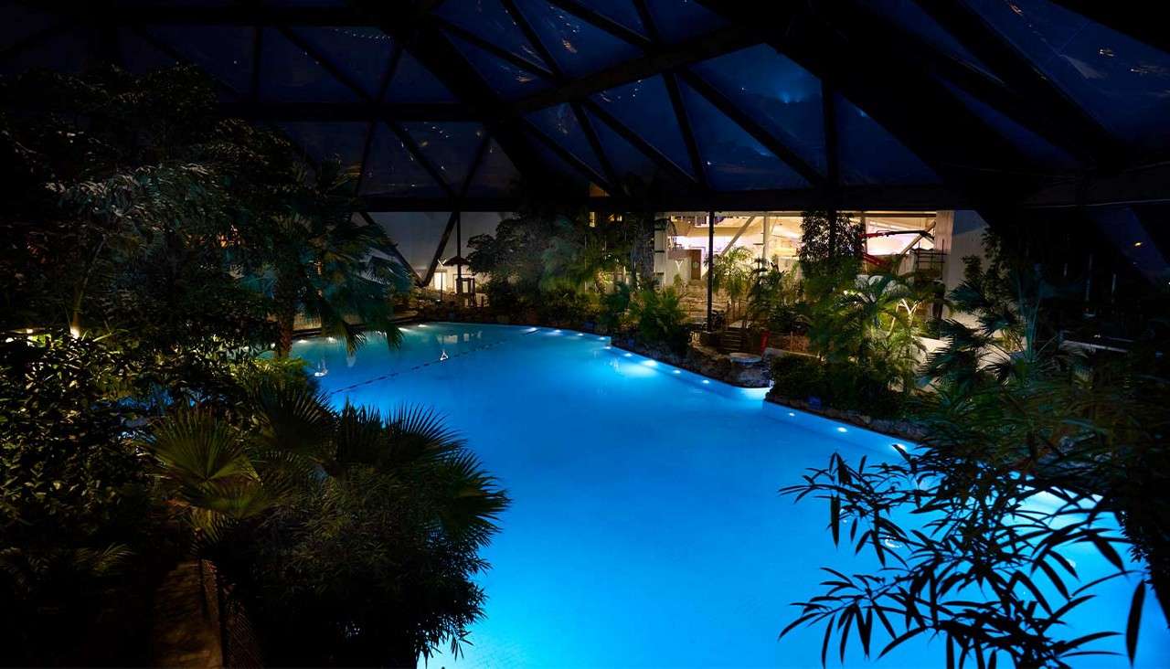 Illuminated swimming pool glows blue, reflecting lights, while bordered by lush tropical plants. Under a dark glass-roof atrium, pathways and seating appear around the water in a resort-like interior.