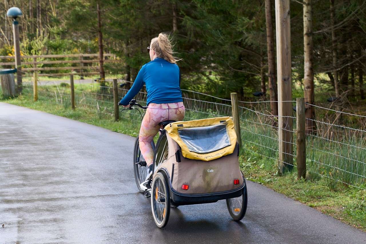 Cyclist rides forward, towing a two-wheeled child trailer on a wet paved path; conifer trees and wire fences line the route. Visible text: Burley; Cub.