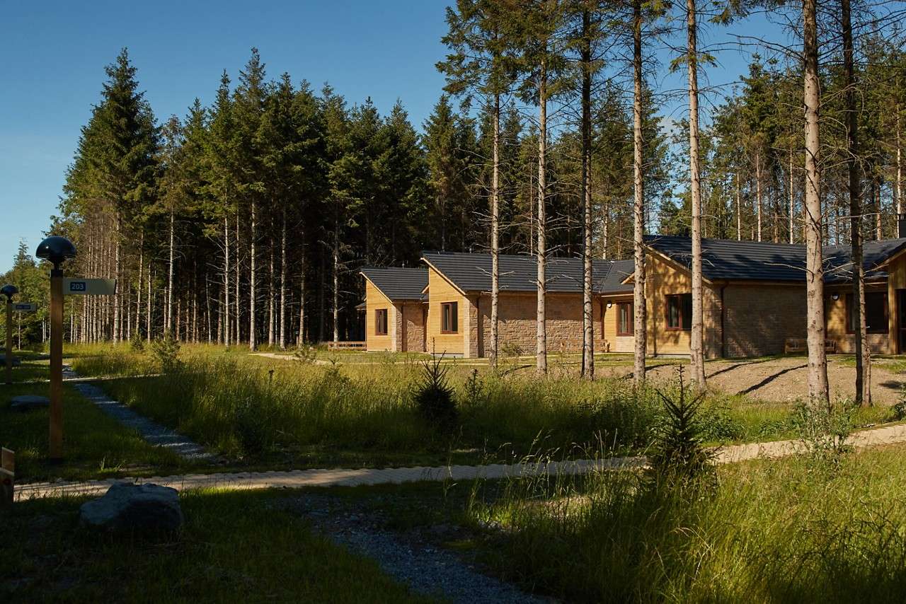 lodge exterior at longford in the forest 