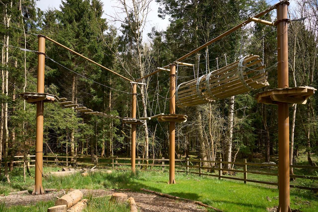 Rope-course platforms suspend wooden bridges and a cylindrical tunnel, hanging from cables between tall posts, standing idle in a forest clearing with grass, fencing, and conifer trees surrounding.