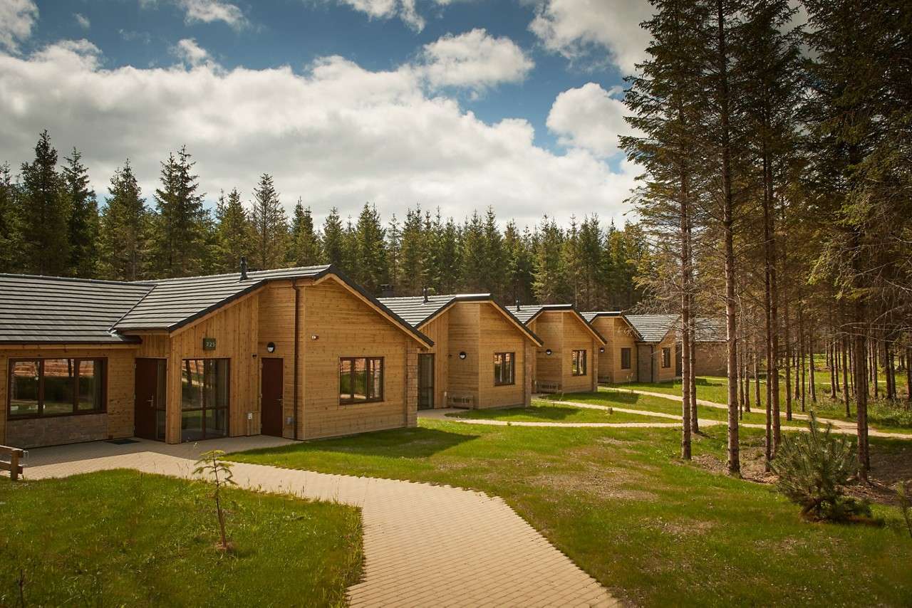 Wooden cabins line up along a winding paved path, facing a dense forest. Pine trees surround the row under a partly cloudy sky. Sign reads “225.”