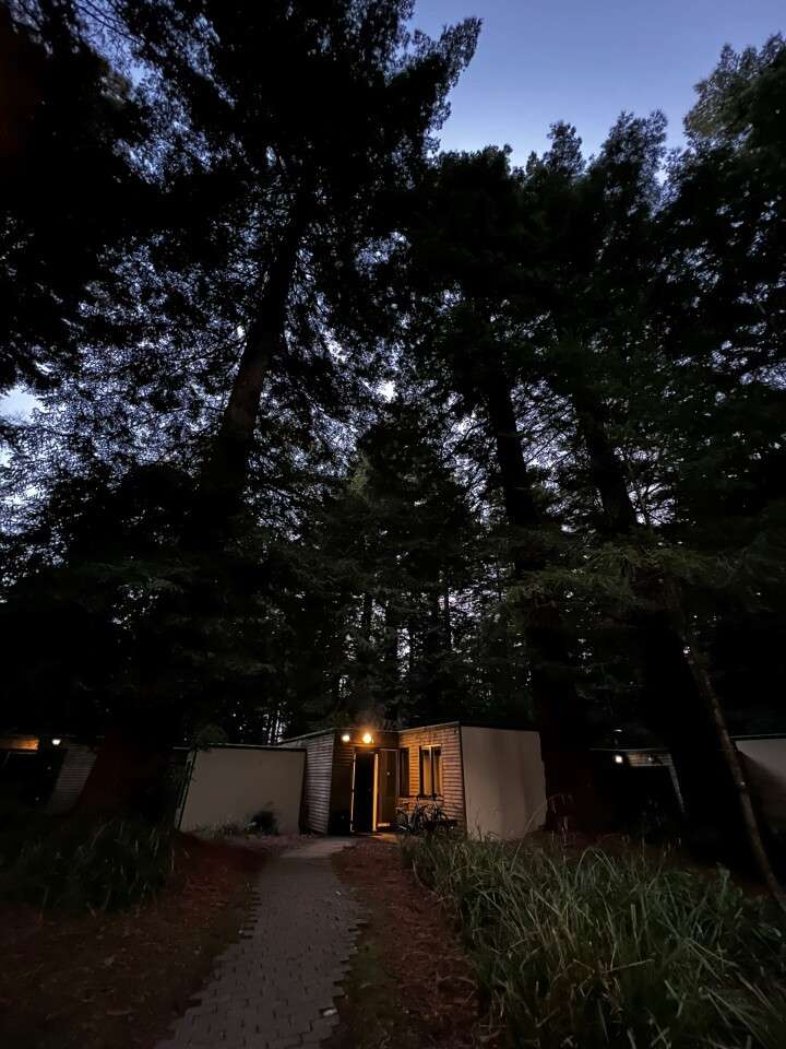 Cabin glows warmly, lighting its doorway, as evening falls. Surrounded by towering trees in a forest, a narrow stone path curves through grass toward the entrance; other cabins dimly visible.