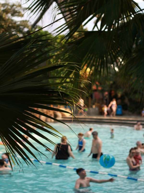Swimmers play and wade, tossing an inflatable ball, in a crowded outdoor pool; foreground palm fronds frame the scene; families and children relax near poolside under warm sunlight at a tropical resort.