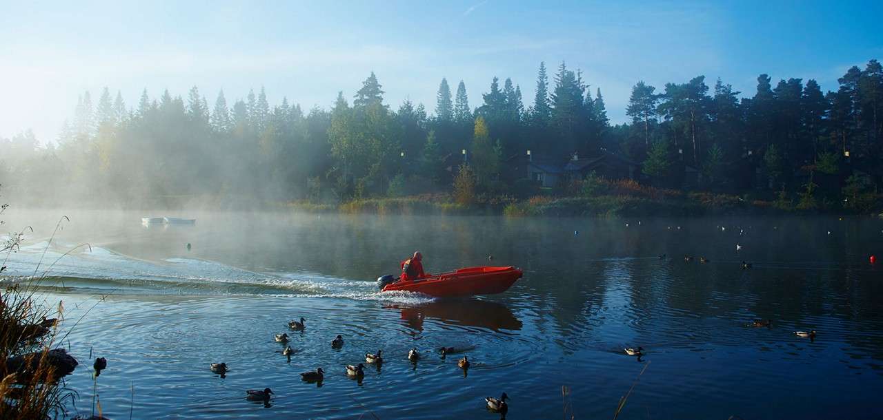 Red motorboat with a bundled driver speeds across a misty lake, leaving a wake; ducks float nearby while conifer trees and lakeside cabins fade in morning fog under blue sky.