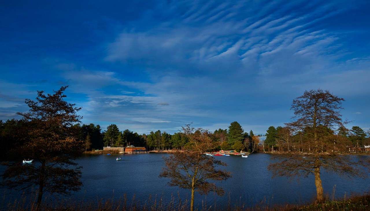 Lake water stretches calmly, small pedal boats glide, framed by sparse-leaved trees. In the distance, a dock and red boathouse sit among pine forest under a wide blue sky.