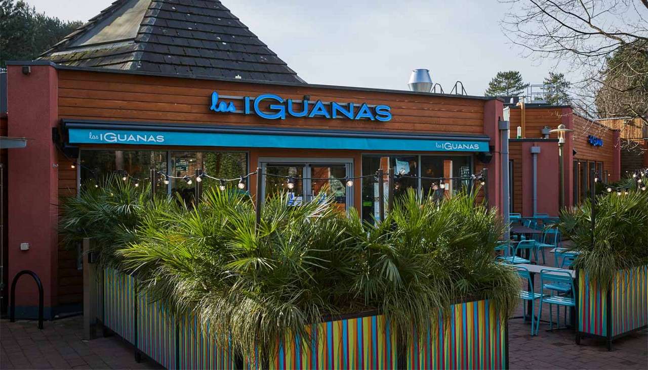 Restaurant storefront displays blue sign and awning; patio seating sits behind palm-filled planters and string lights. Text: las IGUANAS; las IGUANAS; las IGUANAS.