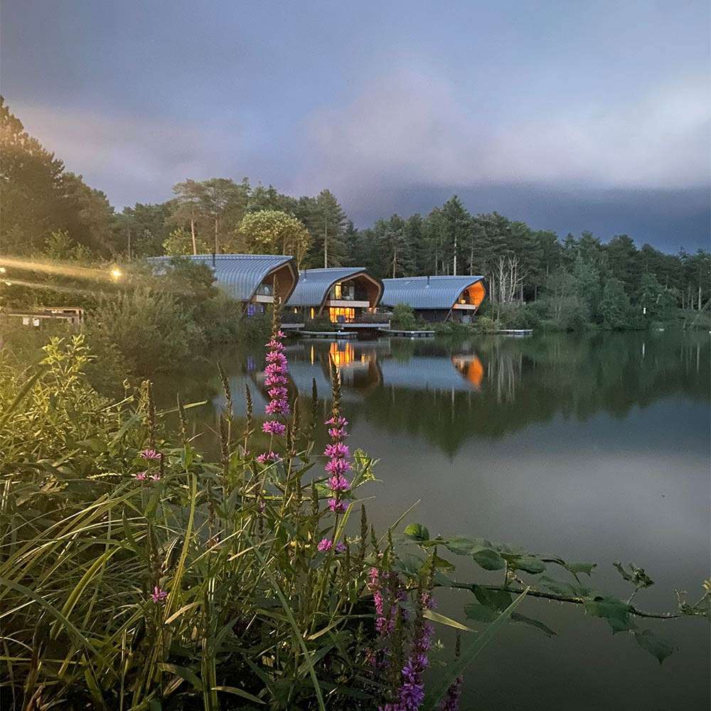Curved-roof cabins glow and reflect on a calm lake, while purple wildflowers stand in the foreground, surrounded by dense forest beneath a moody evening sky.