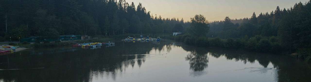 Ducks glide across a calm lake, leaving ripples; colorful paddle boats rest moored at a small dock, surrounded by dense evergreen forest under soft evening light.