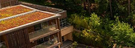 Modern multi-story building, featuring plant-covered roof and glass-railed balconies, sits among dense green trees, with sunlight dappling a quiet courtyard below.