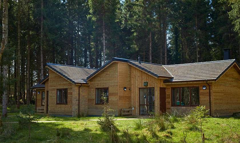 Wooden cabin sits amid dense conifer forest, its low gabled roofs and windows facing a grassy clearing. Sunlight filters through tall trees; a patio with chairs sits near the entrance.