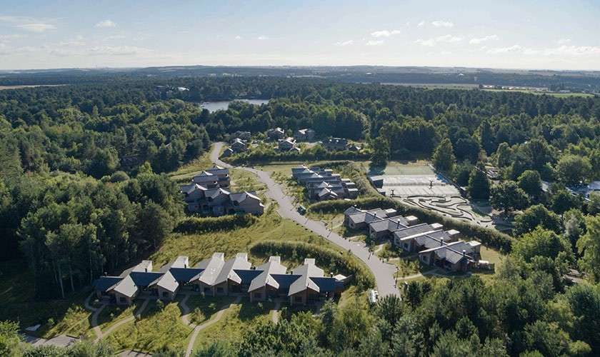 Cabin-style houses cluster along winding roads, nestled among dense trees; surrounding forest stretches toward a distant lake and open fields under clear daylight.