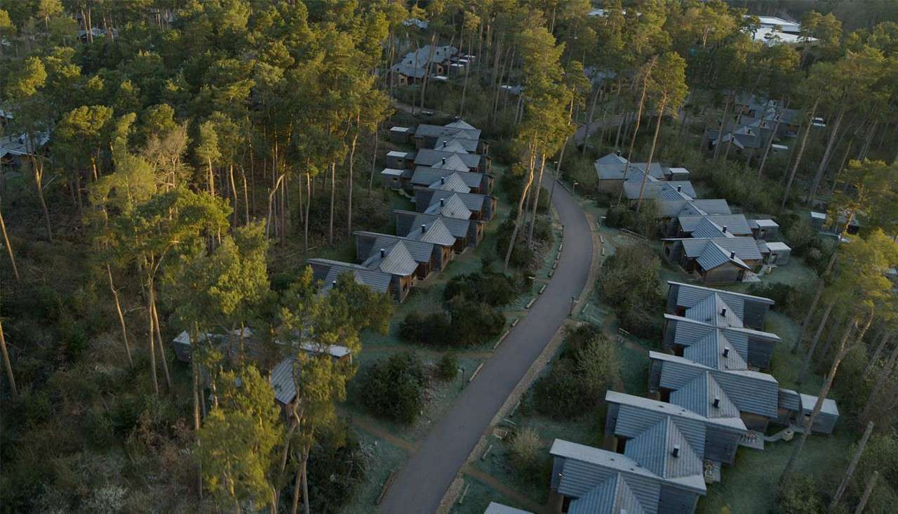 Cabins line a winding road, clustered in neat rows, surrounded by tall pine trees. Viewed from above, the forested resort neighborhood appears orderly, secluded, and tranquil.