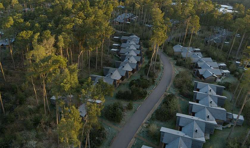 Wooden cabins line a winding paved road, clustered beneath tall pine trees. The units sit evenly spaced with gray roofs, surrounded by dense forest, forming a quiet woodland resort neighborhood.