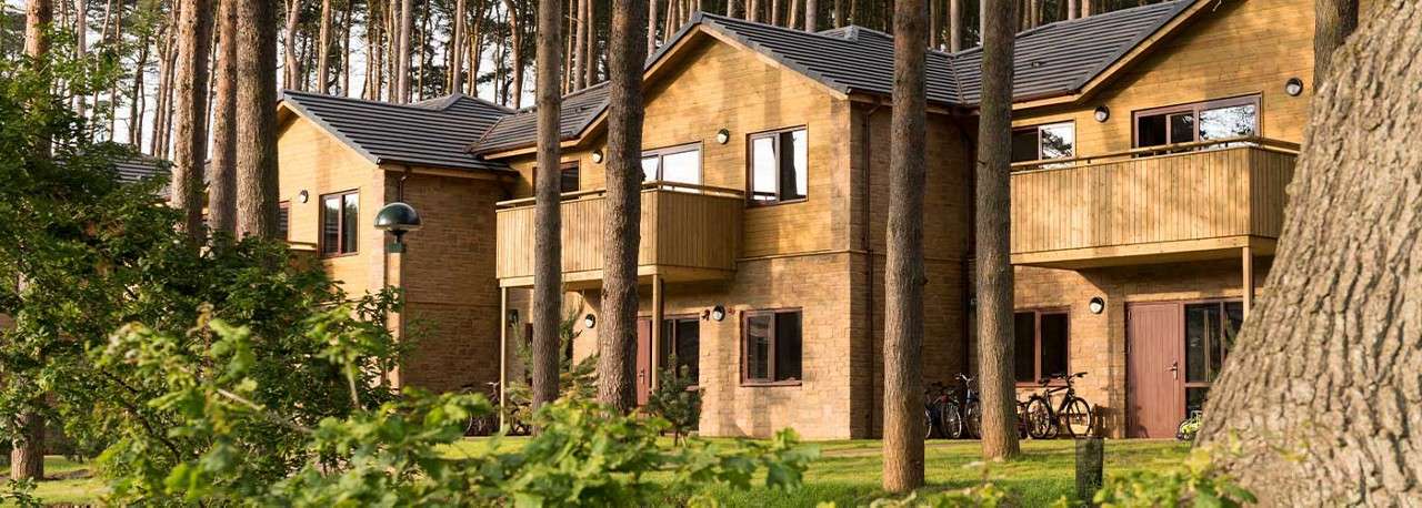 Wooden lodges sit nestled among tall pine trees, with balconies and large windows; bicycles rest by doors as warm sunlight slants across a grassy clearing in a quiet forest resort.