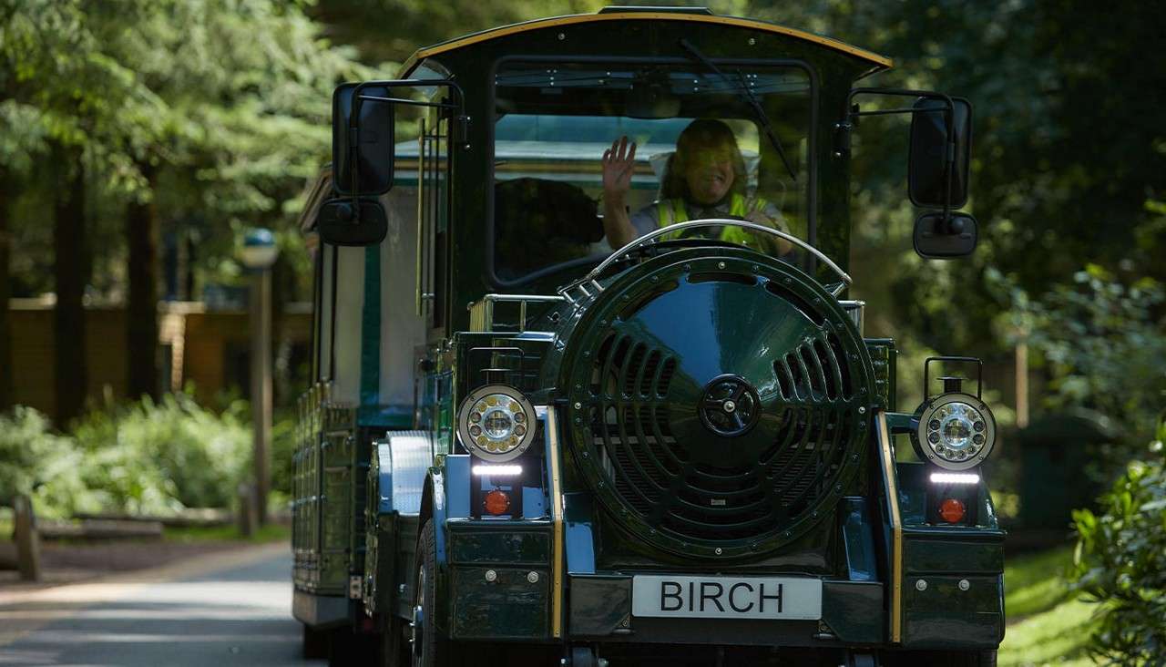 Green road-train vehicle drives toward the camera while driver waves; headlights on. It travels along a paved path through a wooded park. Front plate text: BIRCH.