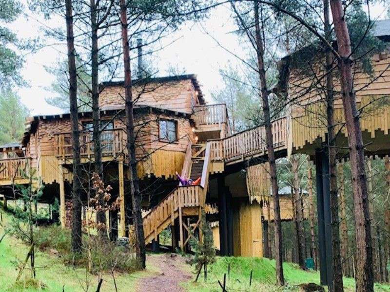 Treehouse cabins rise on stilts, connected by rail-lined walkways and stairs. Two people rest on a mid-stair landing. The setting is a forested hillside among tall pines.