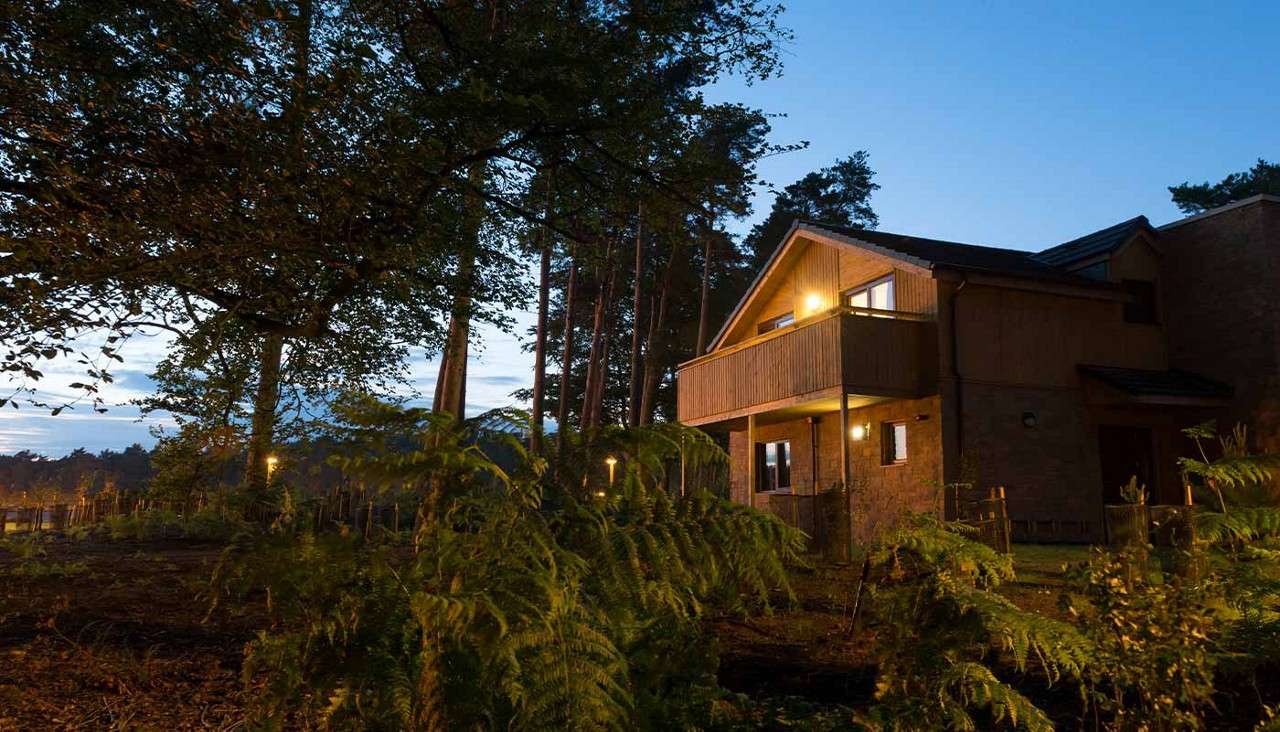 A two-story cabin glows with warm lights, its balcony facing outward, amid tall pines and ferns at dusk, with a blue evening sky and scattered path lights through the forest.