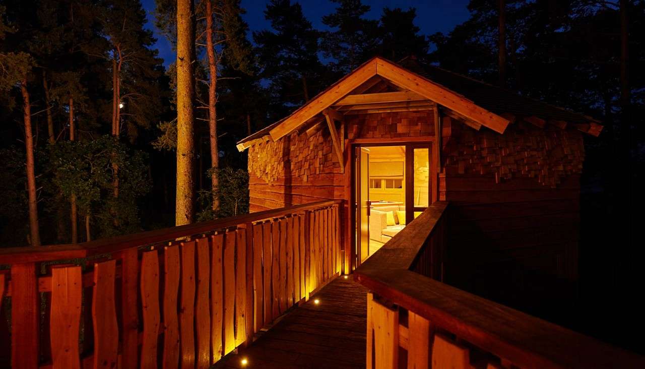 Wooden treehouse cabin glows warmly, its open door and interior lights inviting, while a lit wooden walkway leads through tall pine trees in a dark forest at night.