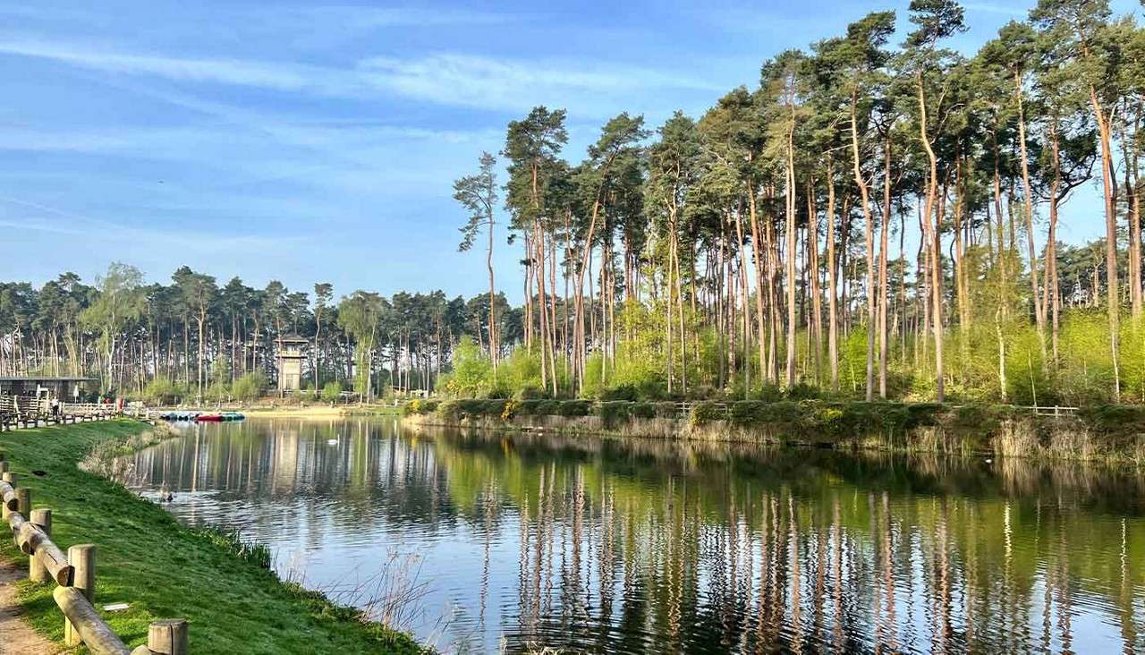 Calm lake reflects tall pine trees, bordered by a grassy path with wooden railing; small beach with colorful boats sits opposite, within a quiet forest under a clear blue sky.