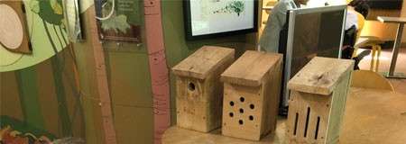 Three wooden nest boxes sit on a counter, each with different entrance holes—single circle, multiple small circles, vertical slots—within an indoor nature exhibit area with illustrated panels and a monitor.
