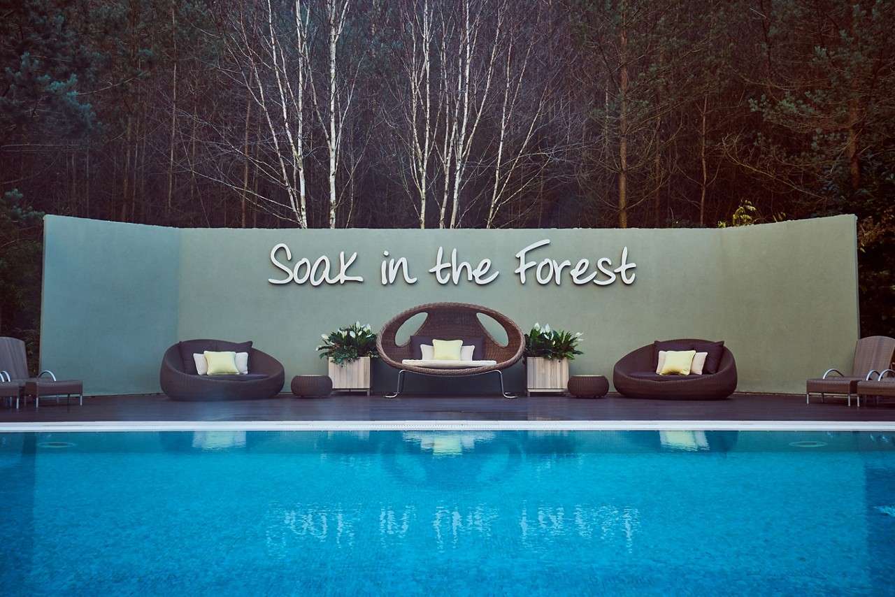 Poolside lounge seating faces a pale wall, displaying the words: “Soak in the Forest,” amid potted plants; wicker chairs and cushions sit on a deck, with a dense forest backdrop.