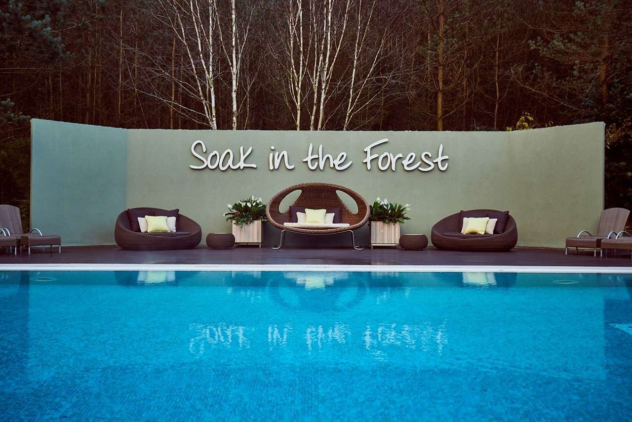 Poolside lounge chairs and wicker sofas face a calm swimming pool, set before a curved wall reading “Soak in the Forest,” with planters and forest trees providing a serene backdrop.