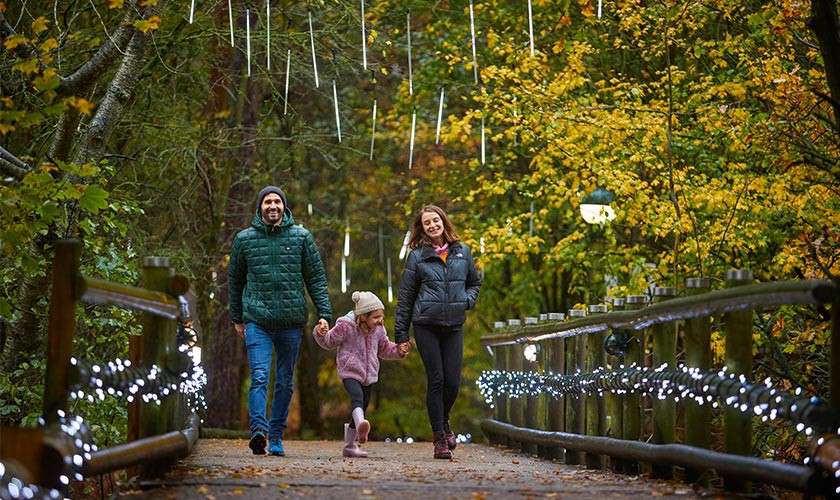 Two adults and a child walk, the child skipping while holding a hand, on a wooden footbridge. Context: autumn forest, icicle-style lights hang above and string lights wrap the railings.