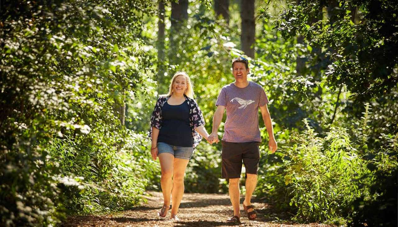 Two adults walk hand-in-hand, smiling, along a dirt path. Sunlight filters through dense green trees and bushes, creating dappled light in a quiet forest setting.
