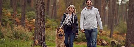 Dog on a leash walks with two people along a forest path, amid tall trees and autumn-toned foliage.