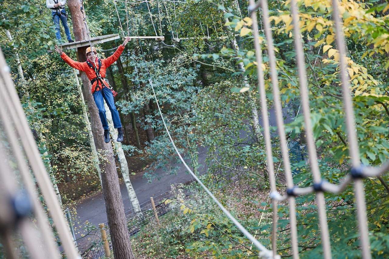 You boy zip lining between trees.