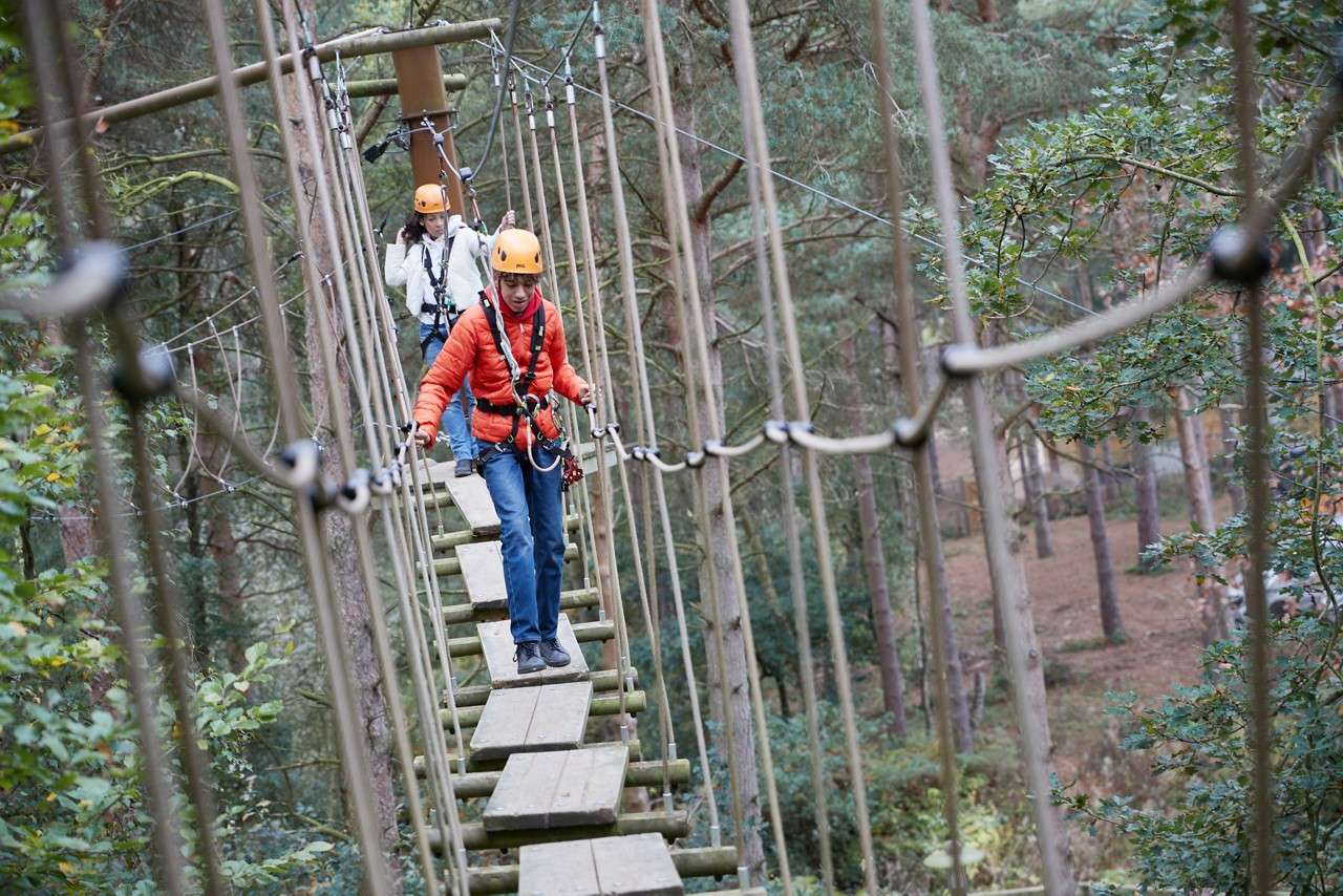 Group tackling the Aerial Adventure course.