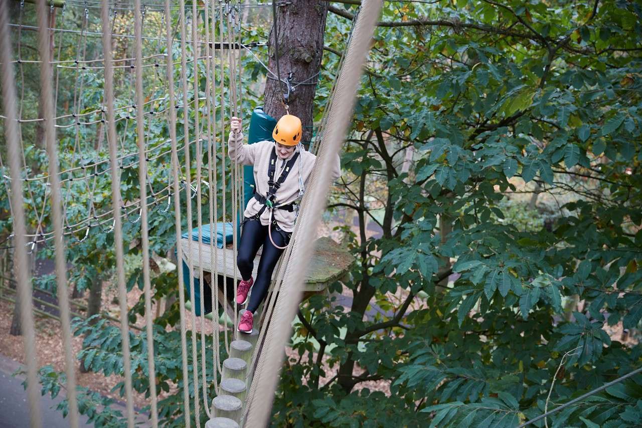 Person walking over a suspended log bridge.