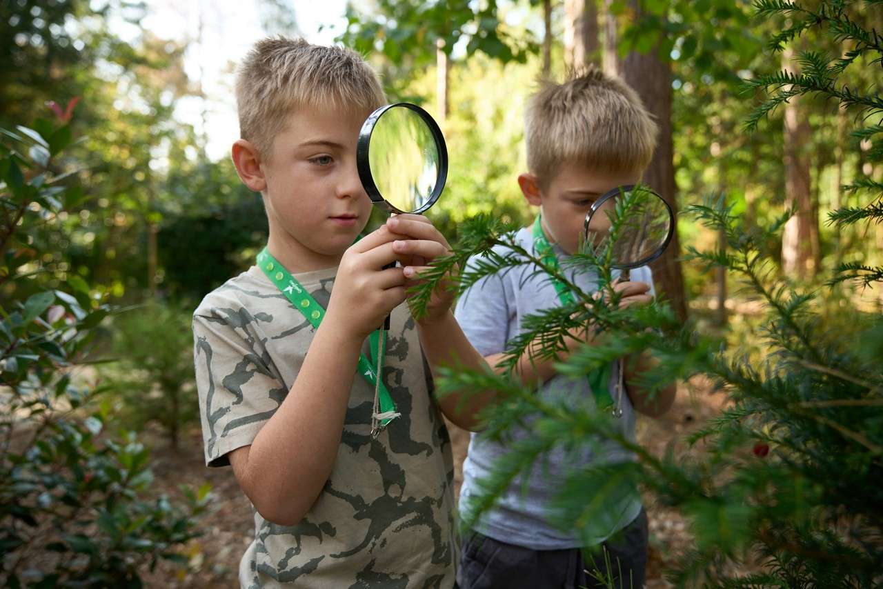 SF - Nature Detectives. Ages 3 to 9. 