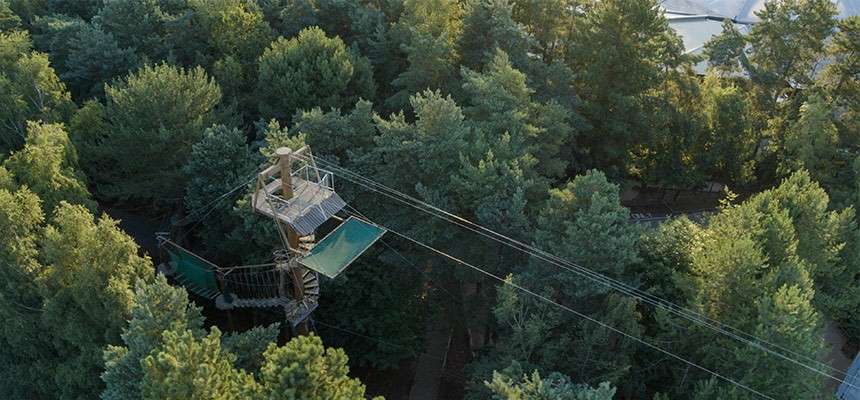 Zipline tower rises above treetops, its spiral staircase and two green launch platforms connected to long cables, set within a dense pine forest adventure park.