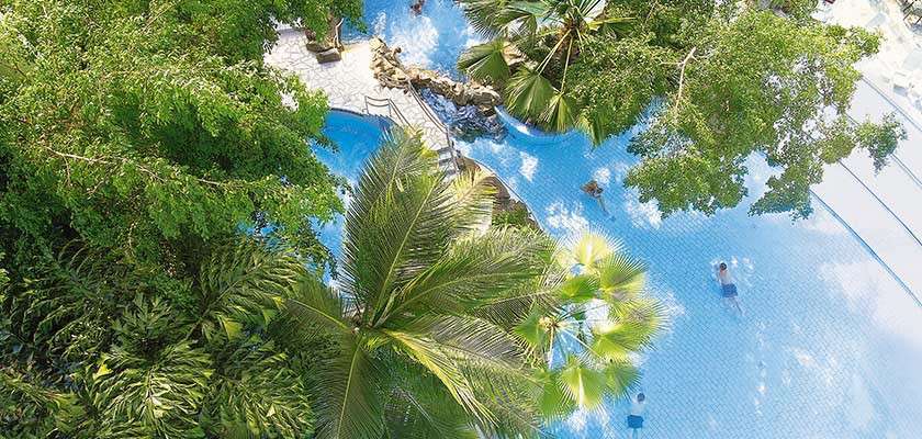Swimmers float and wade in a blue resort pool, viewed from above, surrounded by dense tropical palms, curving edges, stone steps, and a few lounge chairs along the perimeter.
