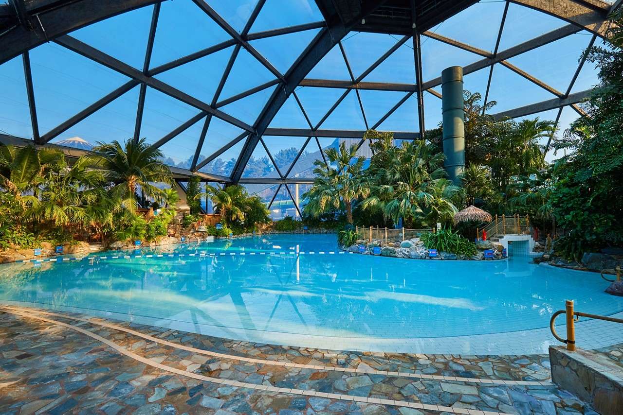 Indoor swimming pool reflects blue light, lying calm; surrounded by palm trees and rocks beneath a vast geodesic glass dome with stone deck, railings, and distant mountains visible outside.
