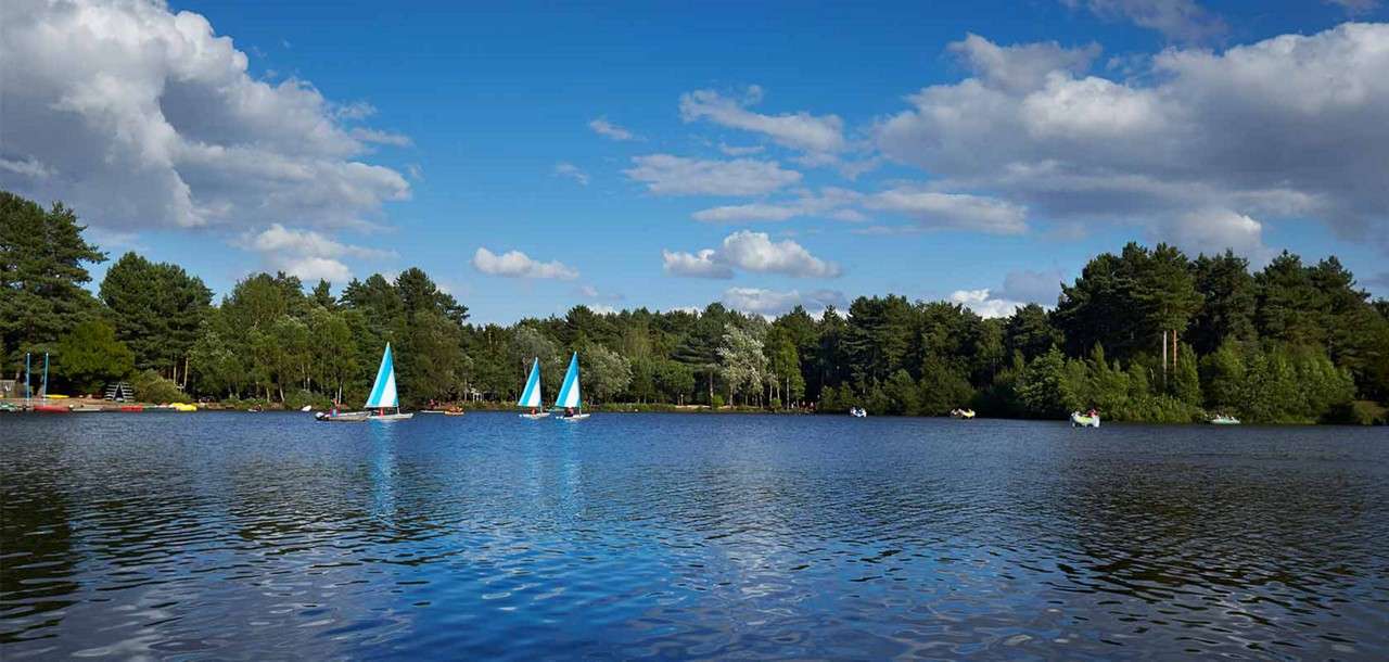 Sailboats glide across a calm lake, their blue-and-white sails catching wind, while small paddleboats drift nearby; dense green trees encircle the water beneath a bright blue, partly cloudy sky.