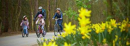 Bike hire at Center Parcs Cycle Centre