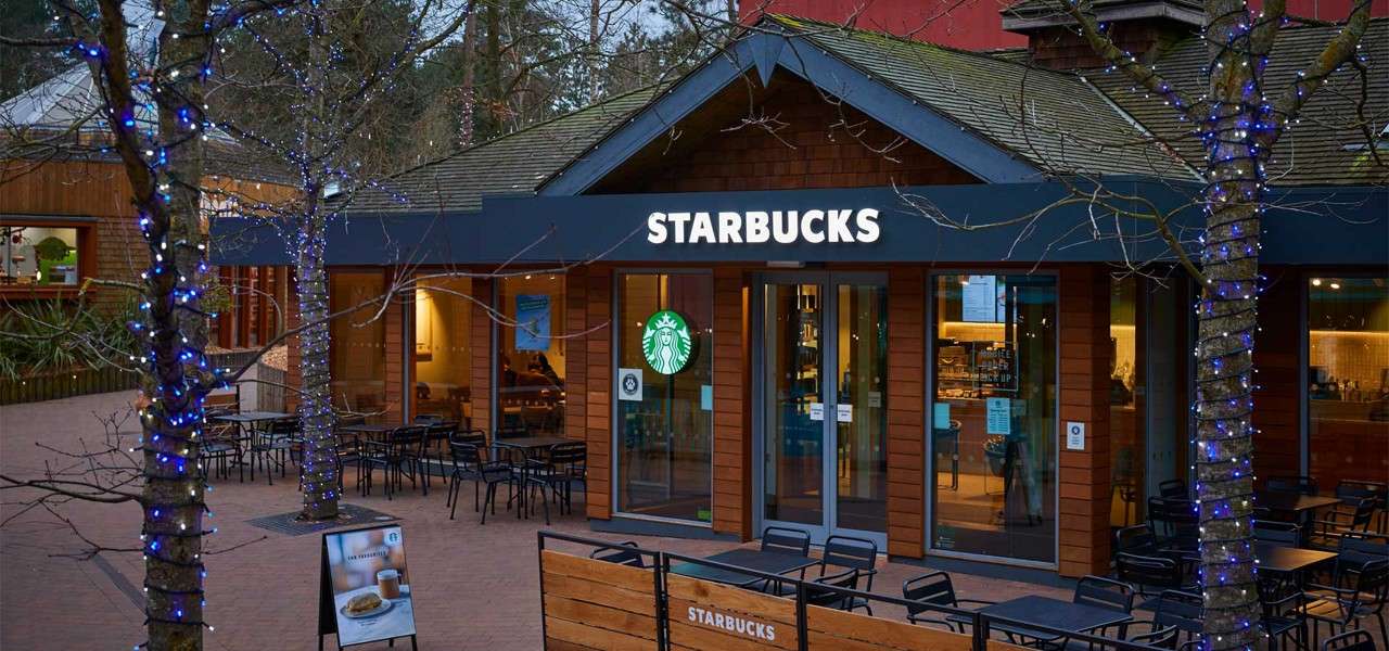 Starbucks café displays a bright sign at dusk, with outdoor seating amid leafless trees wrapped in blue lights. Text: STARBUCKS; STARBUCKS (on wooden bench).