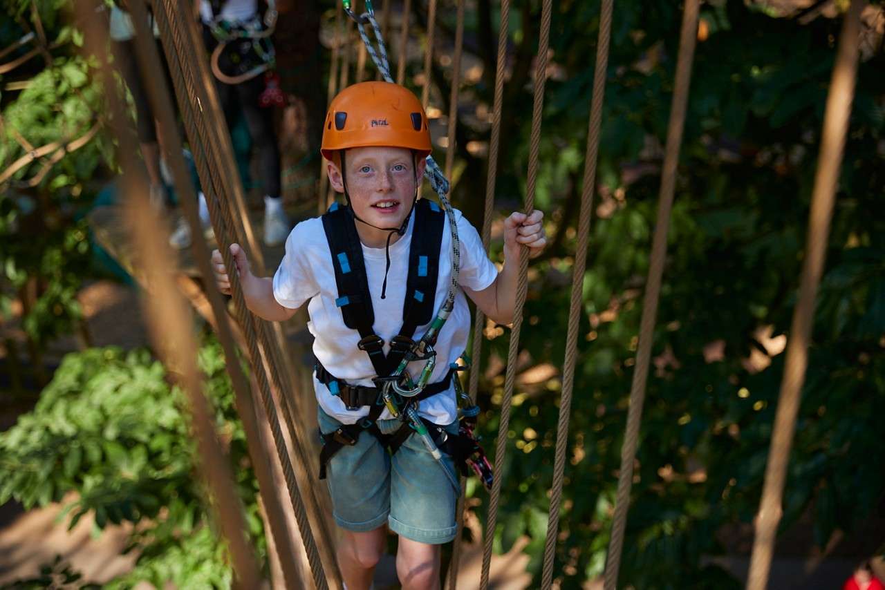 SUMMER SF AERIAL ADVENTURE SCHOOL AGE 78