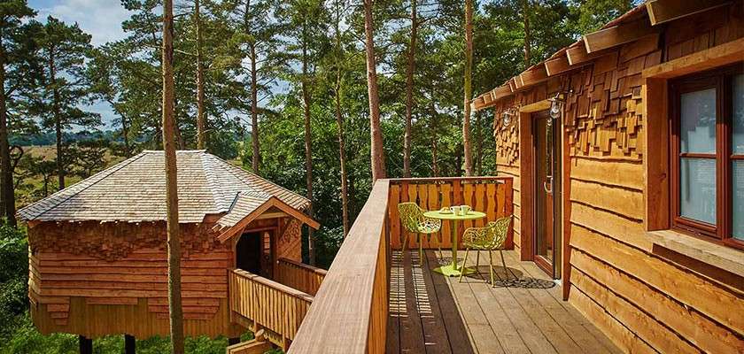The balcony of a treehouse.