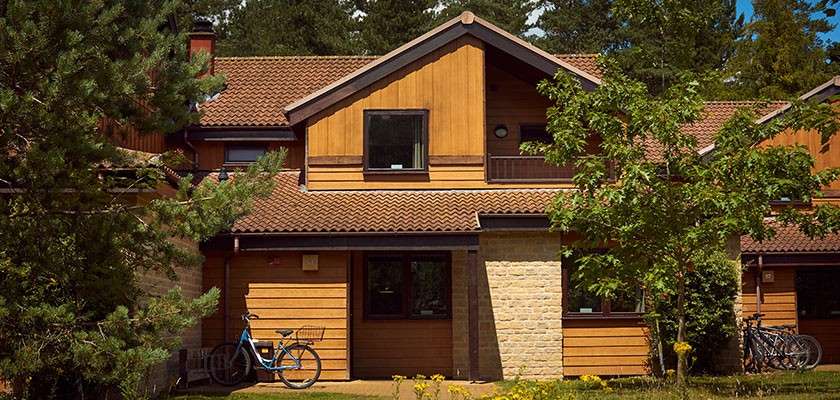 Wooden cottage stands quietly with a tiled roof and dormer window; two bicycles lean against the wall. Surrounded by trees and shrubs, sunlight warms a small lawn and pathway.