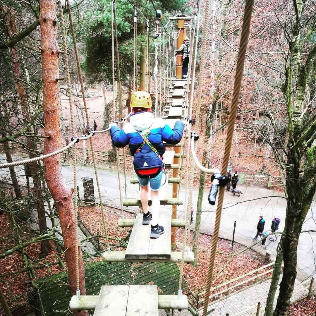 Child crosses a rope-bridge obstacle course, wearing a helmet and harness; another participant stands ahead while people walk on a path below amid tall trees and fallen autumn leaves in a forest park.